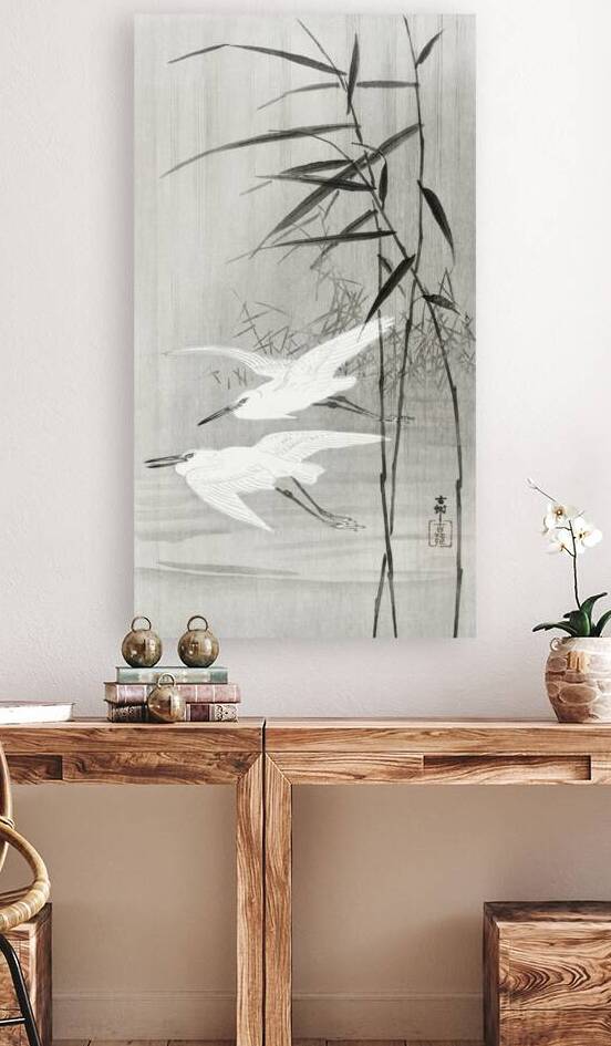 Two sable red tails with cherry blossom 1900 - 1936 by Ohara Koson 1877-1945. by IStockHistory com