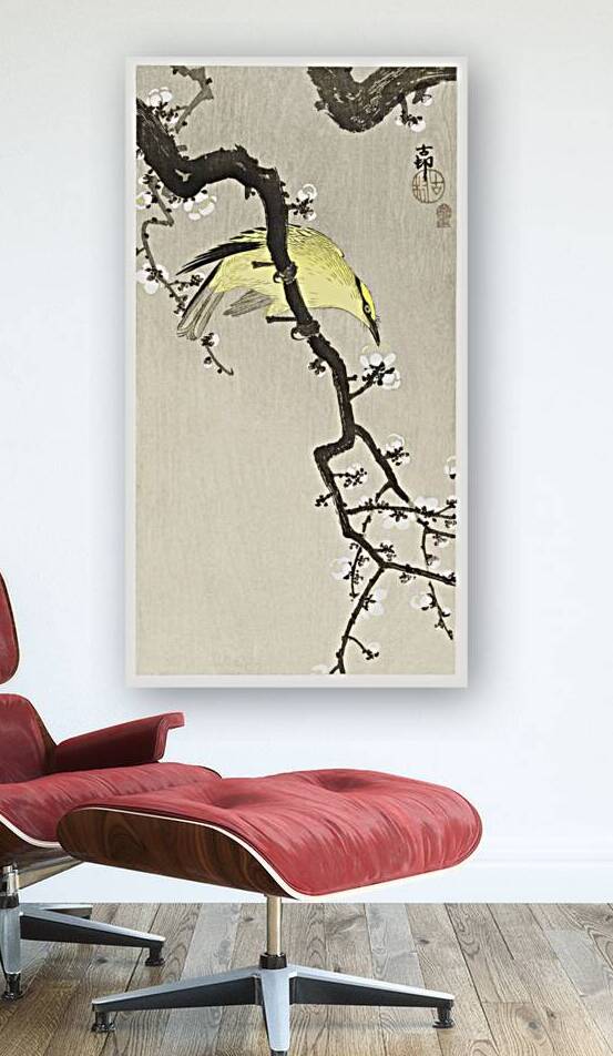 Chinese oriole on plum blossom branch 1900 - 1910 by Ohara Koson 1877-1945. by IStockHistory com