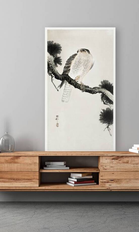 Hawk on pine branch 1900 - 1930 by Ohara Koson 1877-1945. by IStockHistory com