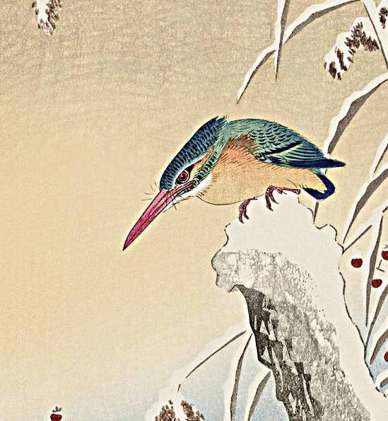 Kingfisher in the snow 1925 - 1936 by Ohara Koson 1877-1945. by IStockHistory com