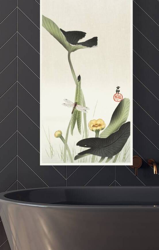 Libelle and lotus 1900 - 1930 by Ohara Koson 1877-1945. by IStockHistory com