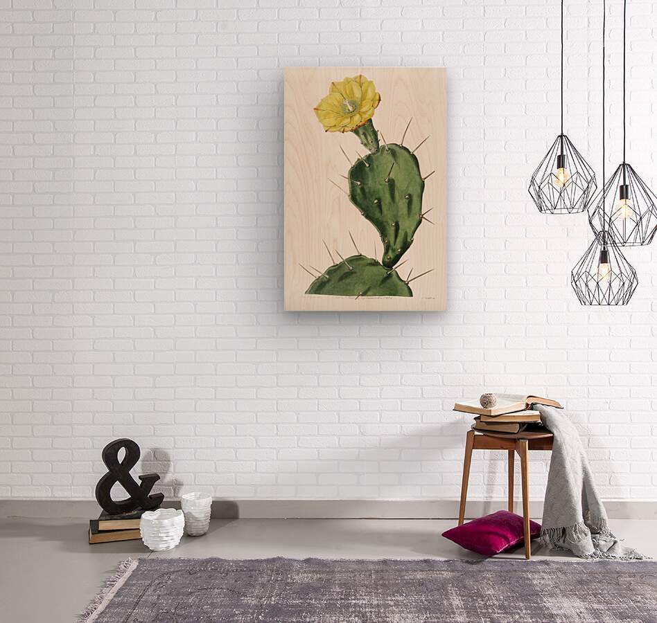 One spined opuntia from Edwards Botanical Register 1829-1847  by Sydenham Edwards John Lindley and James Ridgway.  Wood print