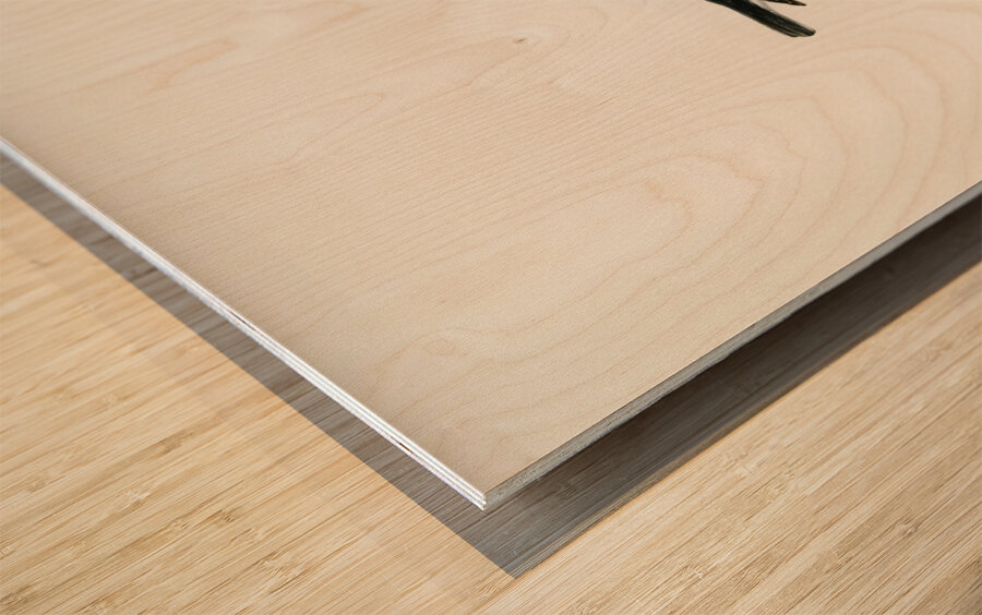 Collared flycatcher Muscicapa collaris Wood print