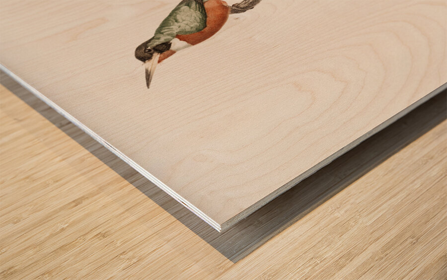 Yellow-billed jacamar Wood print