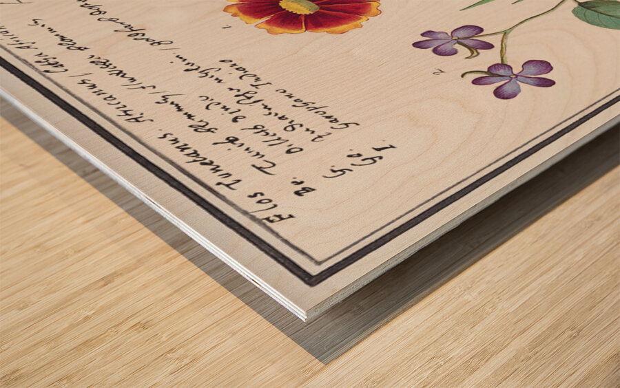 Viola daffodil and marigold Wood print