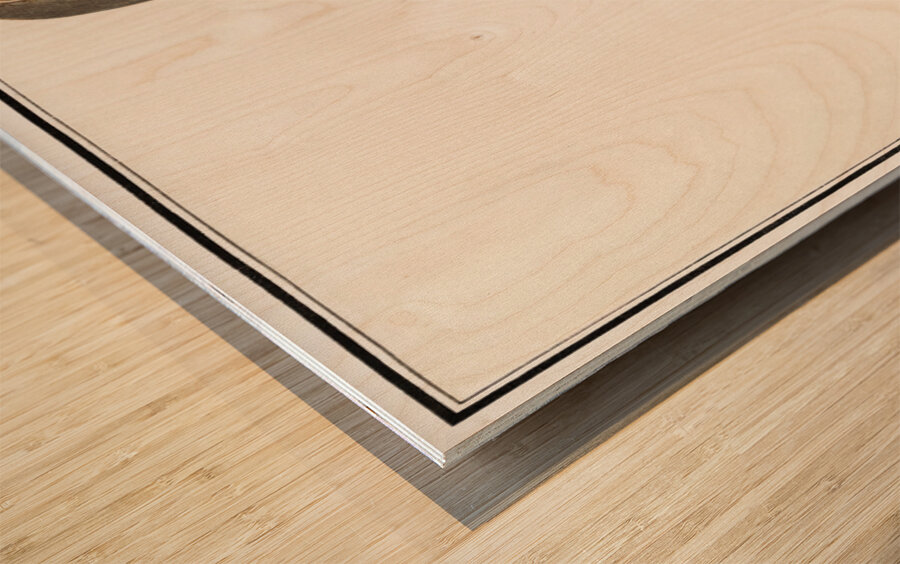 Red-footed falcon vintage style Wood print