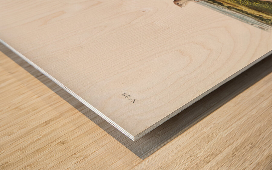 Camas Rat Pseudostoma Borealis  Wood print