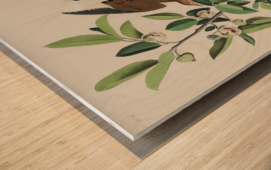 Lenaida Dove Wood print