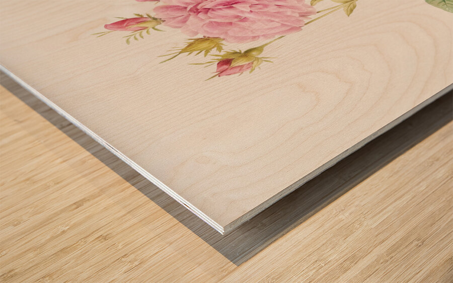 Pink Agatha rose Wood print