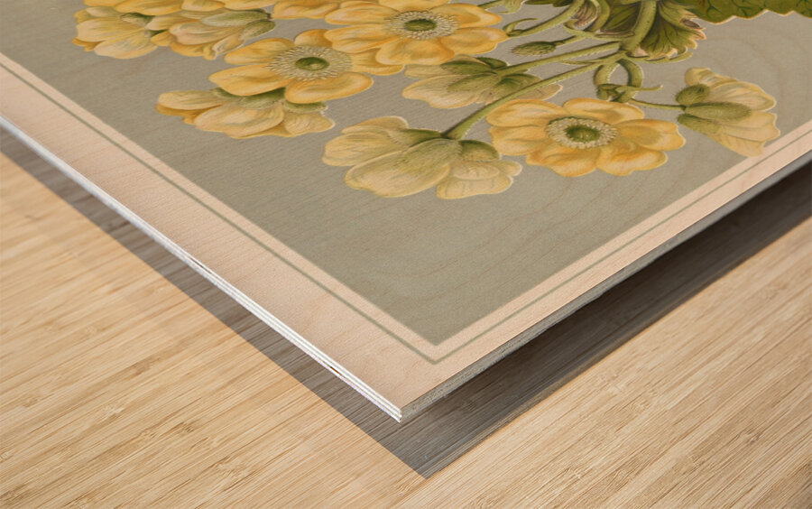 Sarah Featon 032 Wood print