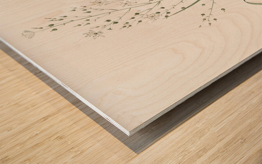 Branched St Bernard & lily illustration  Wood print