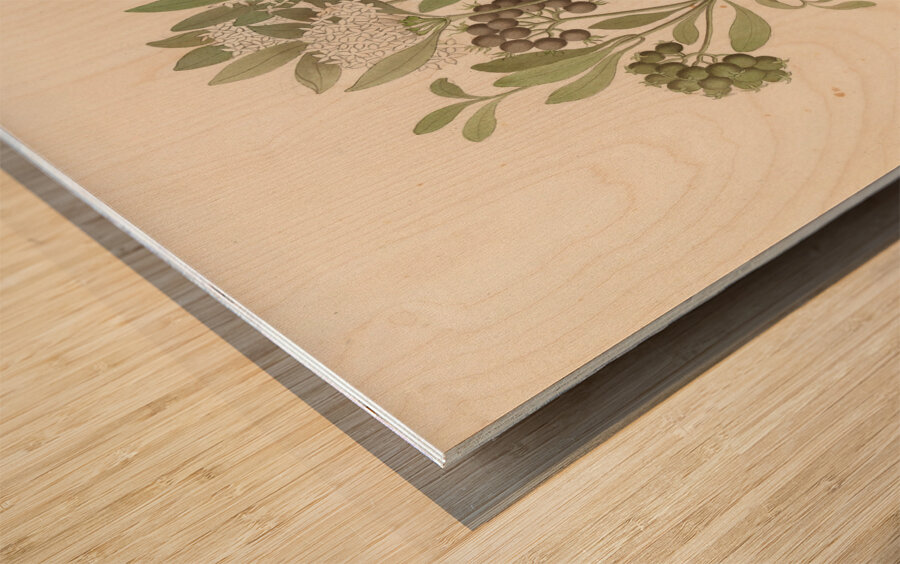 Pavetta caffra [Pavetta lanceolata] 1817 Wood print