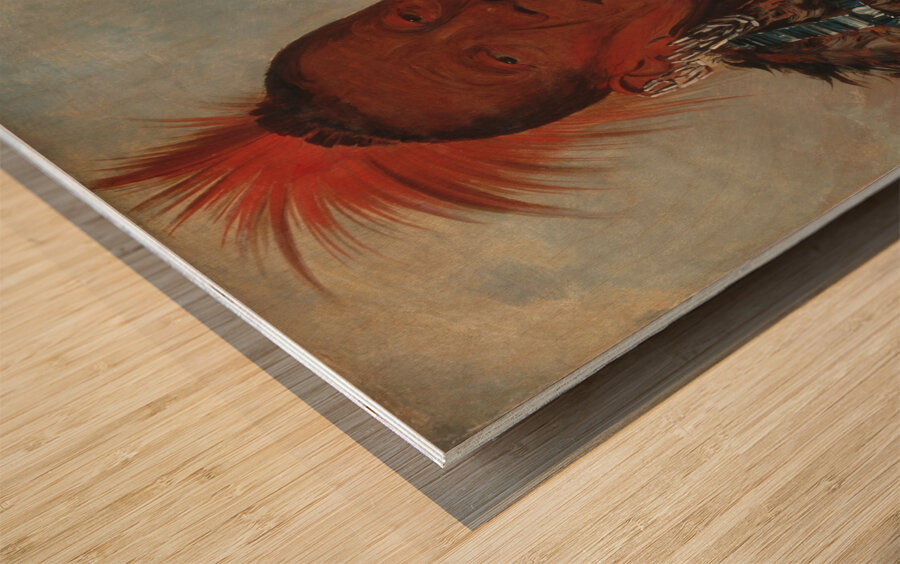 Wah-ro-née-sah The Surrounder Chief of the Tribe Wood print