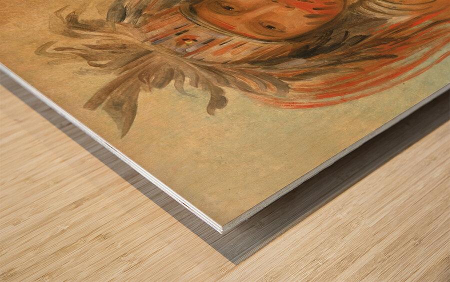 Au-nim-muck-kwa-um Tempest Bird 1845 Wood print