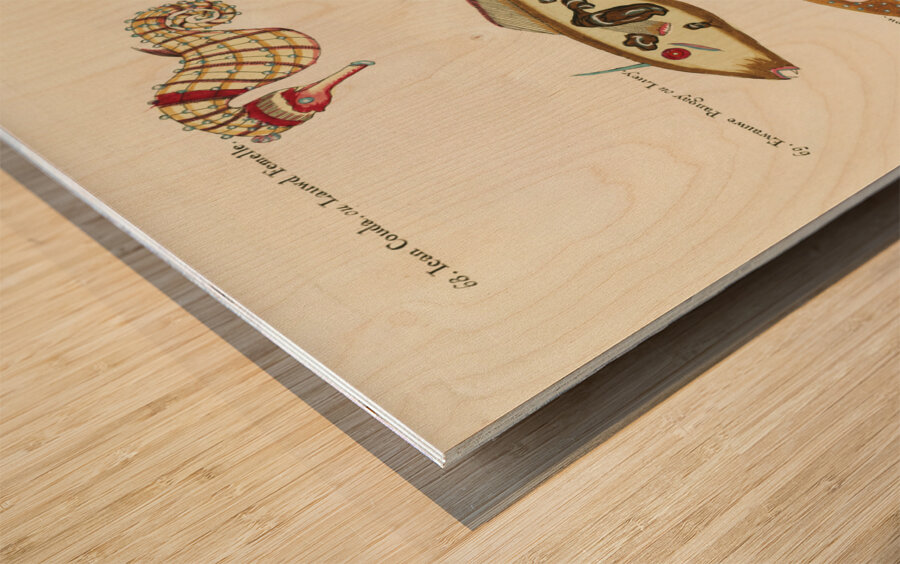 Colourful and surreal illustrations of fishes and sea horse found in Moluccas Indonesia and the East Indies by Louis Renard 1678 -1746 from Histoire naturelle des plus rares curiositez de la mer des Indes 1754. Wood print