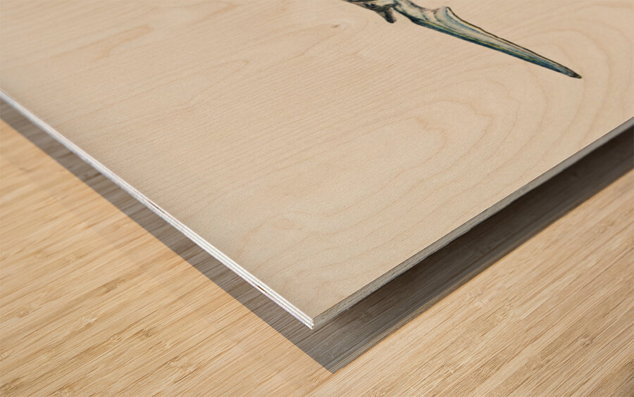 Antique fish hyporhamphus melanochir southern sea garfish South Pacific Fishes by Frank Edward Clarke 1849-1899.  Wood print