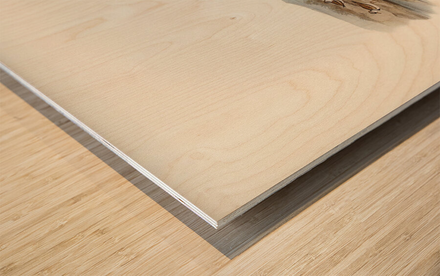 Black-fronted Dottrel Hiaticula nigrifrons illustrated by Elizabeth Gould 1804–1841 for John Gould’s 1804-1881 Birds of Australia  Wood print