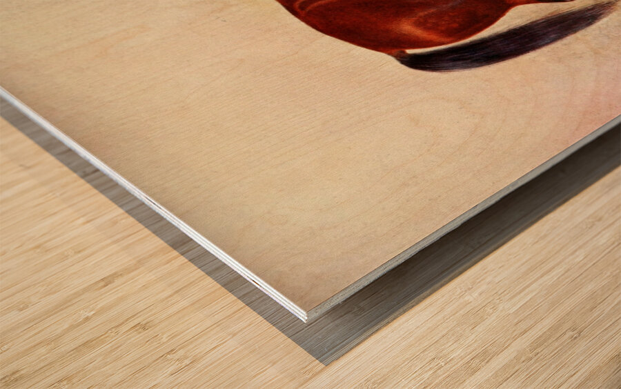 Cleveland Bay Stallion Sultan Frank Babbage English 1858–1916 Wood print