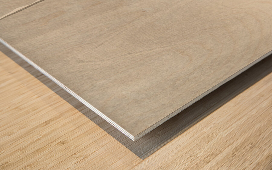 Two ducks on snowy reed 1900 - 1930 by Ohara Koson 1877-1945. Wood print