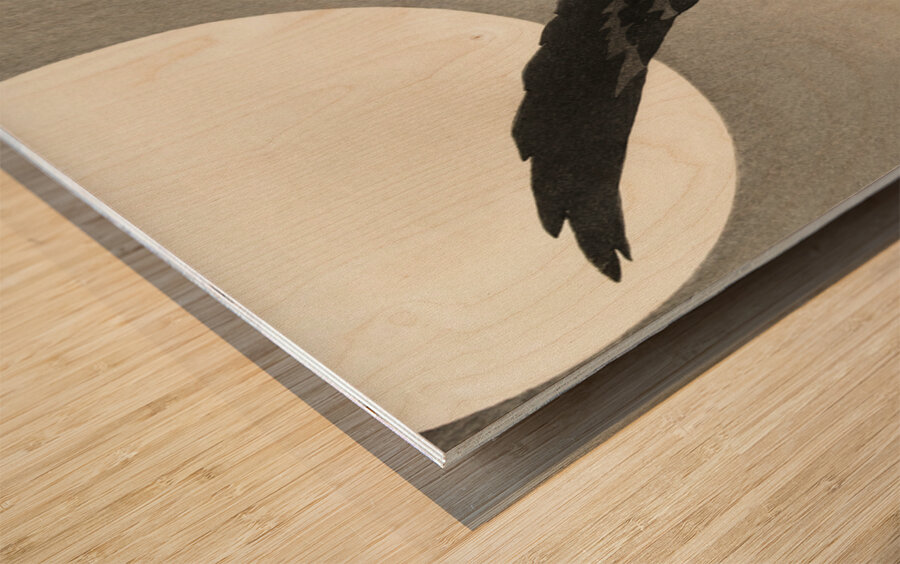 White-fronted goose at full moon 1900 - 1930 by Ohara Koson 1877-1945. Wood print