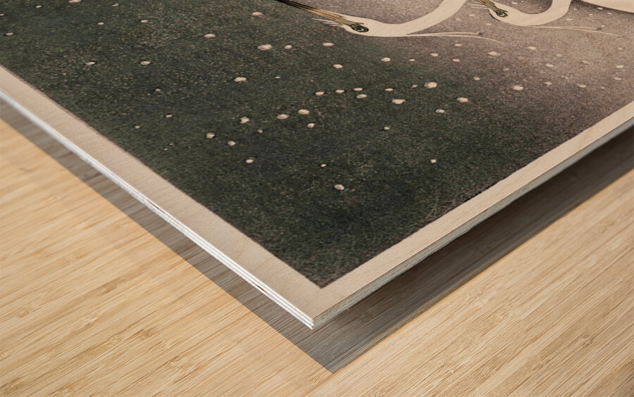 Group of Egrets 1925 - 1936 by Ohara Koson 1877-1945. Wood print